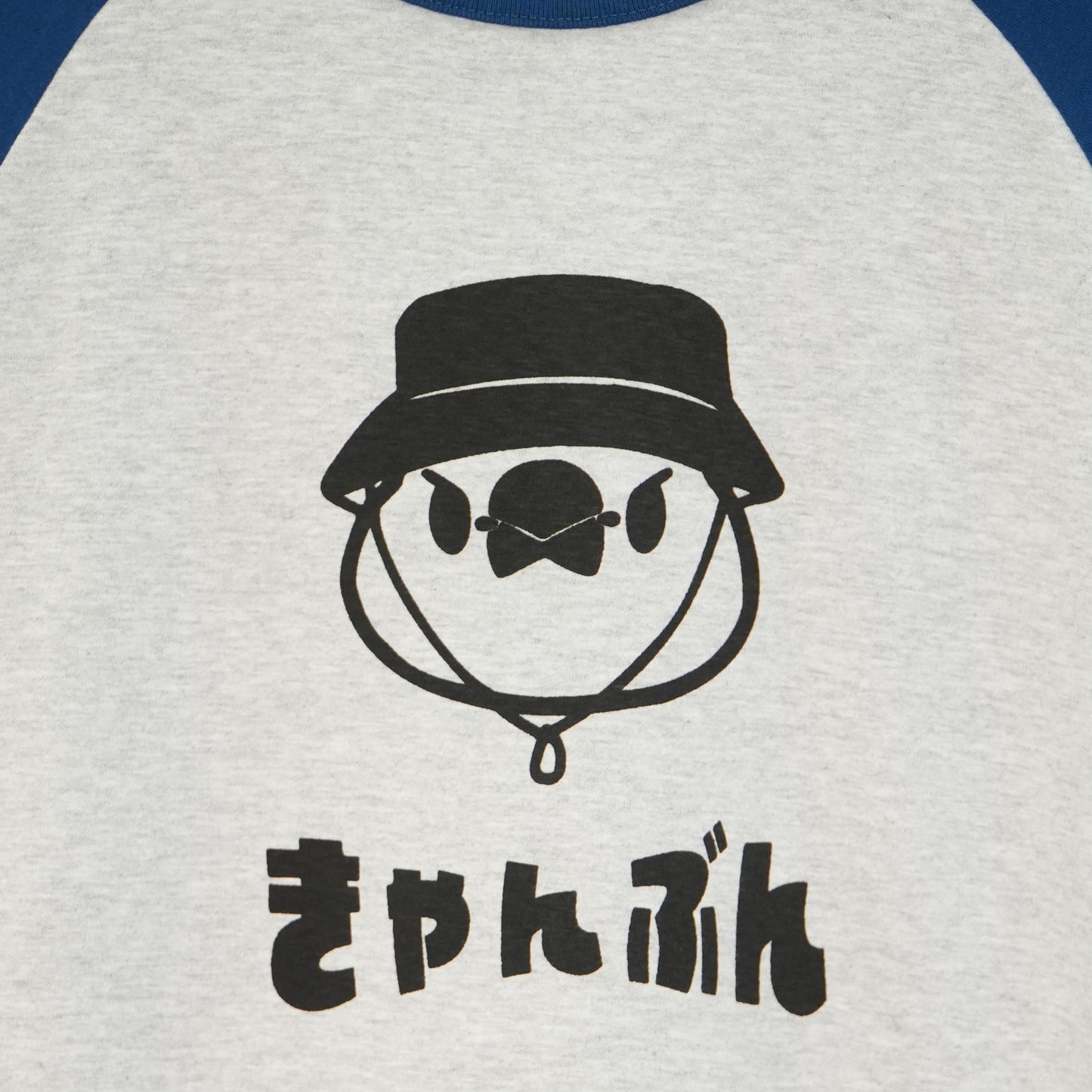 ひらがなきゃんぶんラグランTシャツ