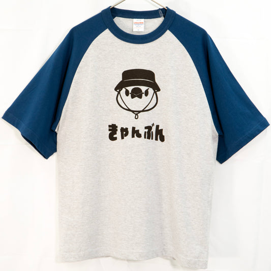 ひらがなきゃんぶんラグランTシャツ